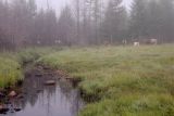 Окрестности Северного, image of landscape/habitat.