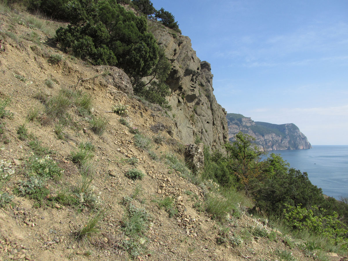 Балаклавские высоты, image of landscape/habitat.