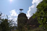 Image of landscape