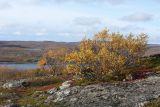 Image of landscape