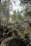 Крестовая гора, image of landscape/habitat.