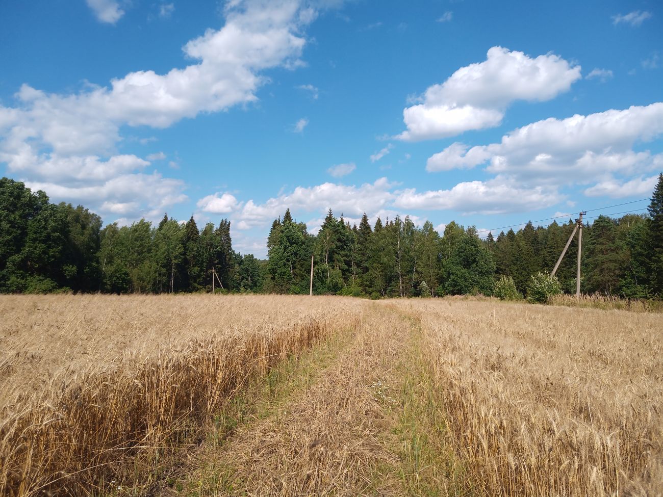 Окрестности деревни Чёлохово, image of landscape/habitat.