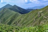 Image of landscape