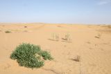 Image of landscape