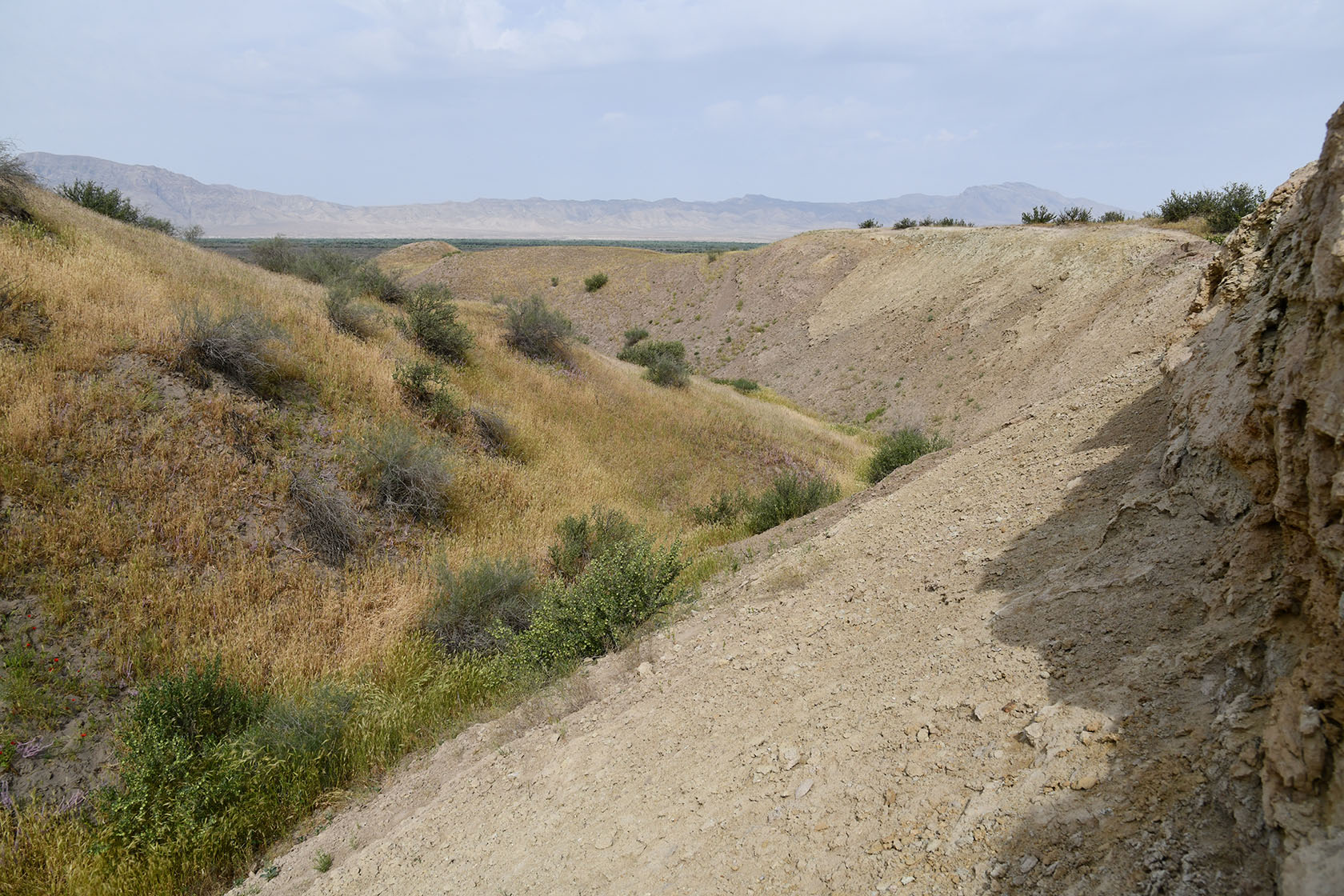 "Королевская дача", image of landscape/habitat.