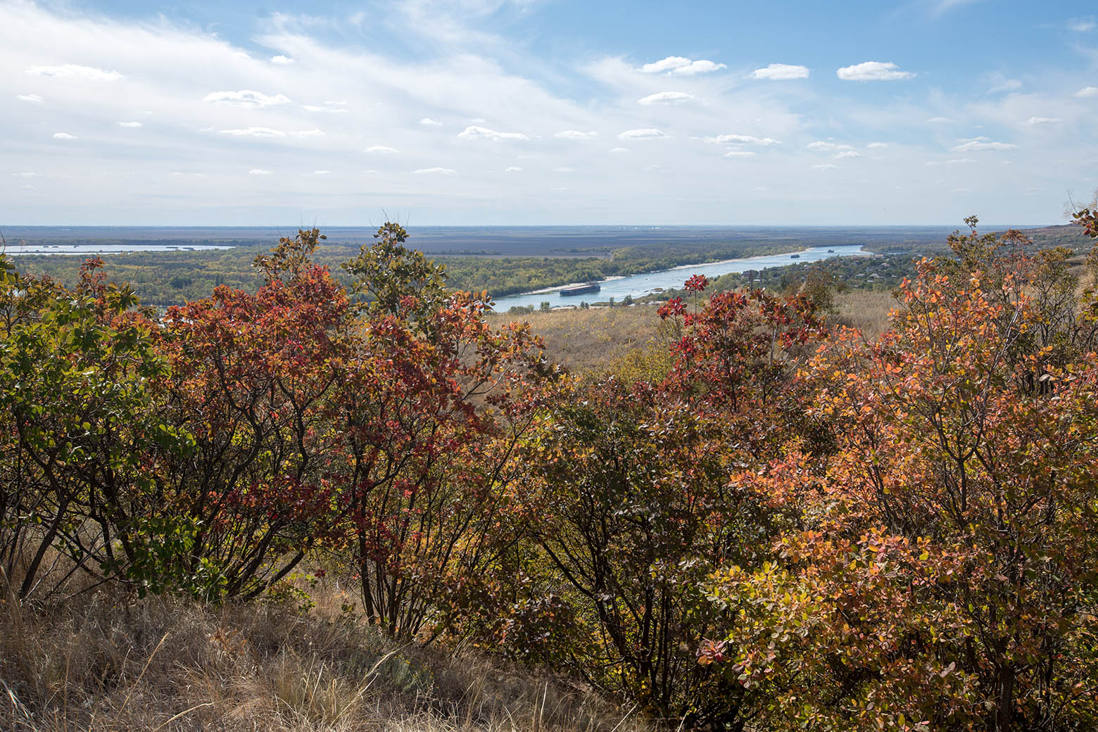 Раздорские склоны, image of landscape/habitat.
