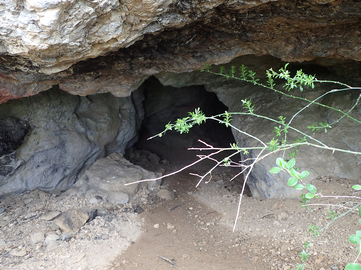 Гора Лысая (Голая), image of landscape/habitat.