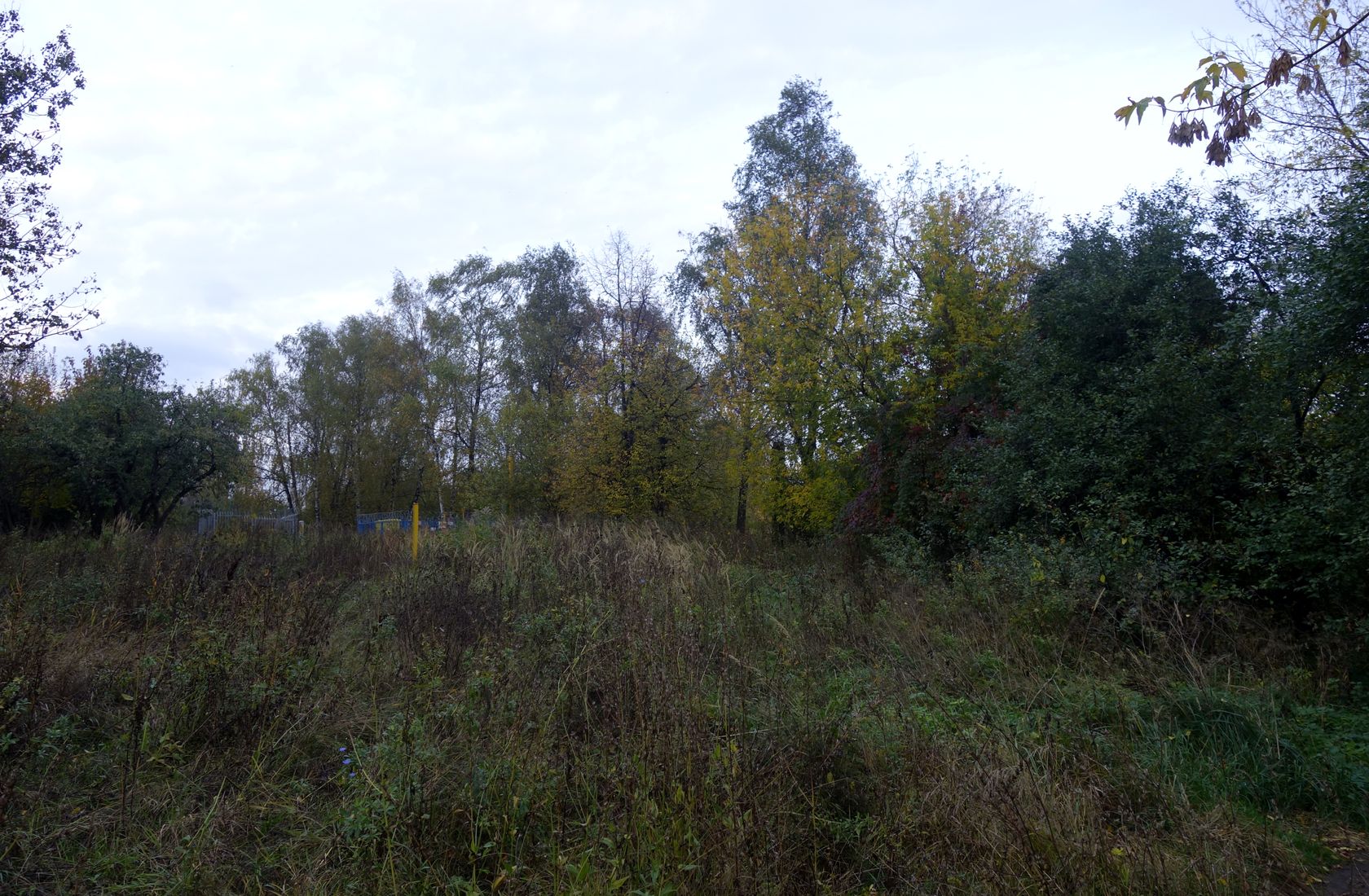 Митино (ландшафтный парк), image of landscape/habitat.
