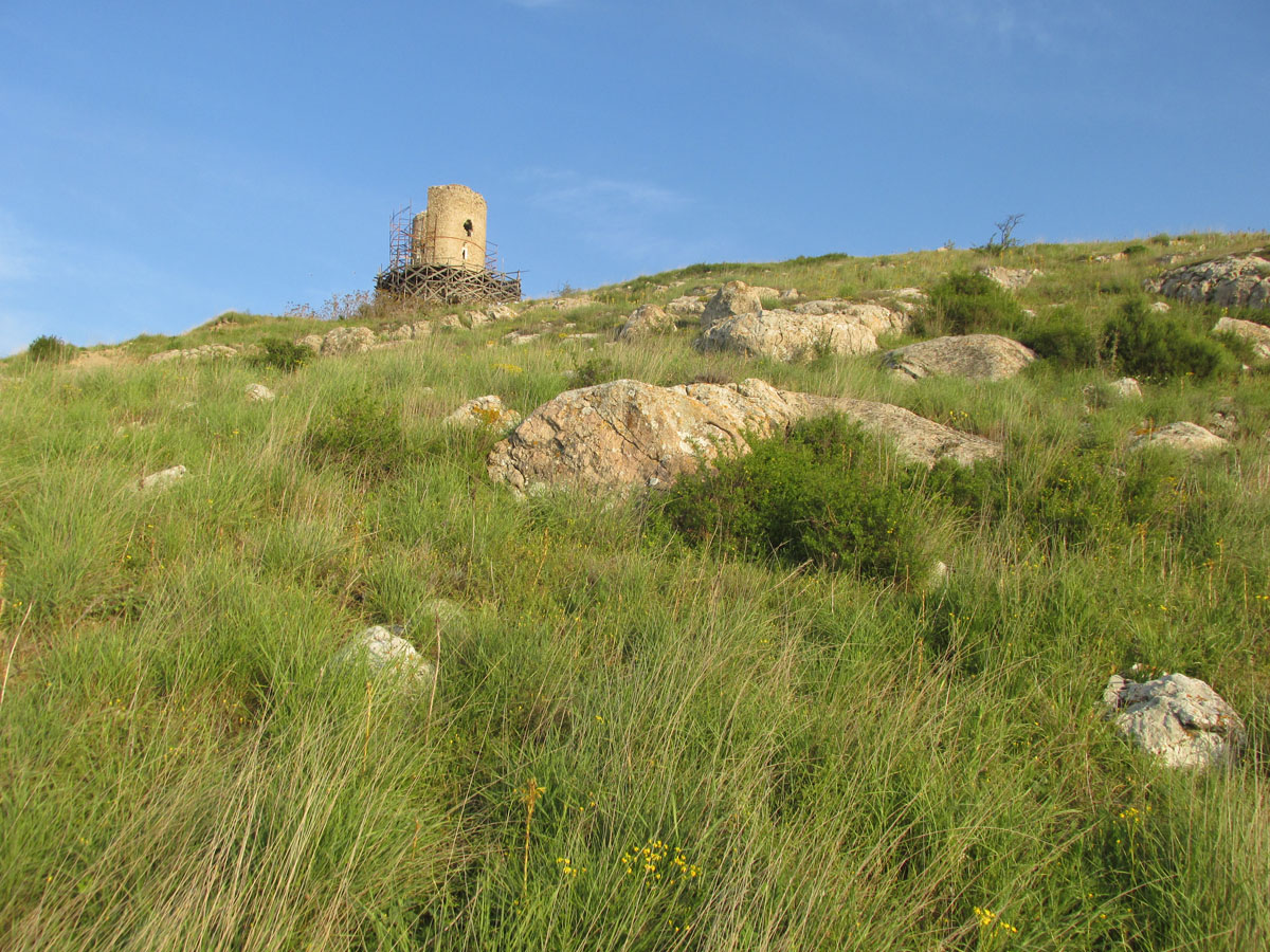 Балаклавские высоты, image of landscape/habitat.