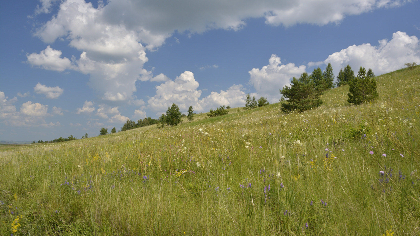 Окрестности г. Бавлы, image of landscape/habitat.