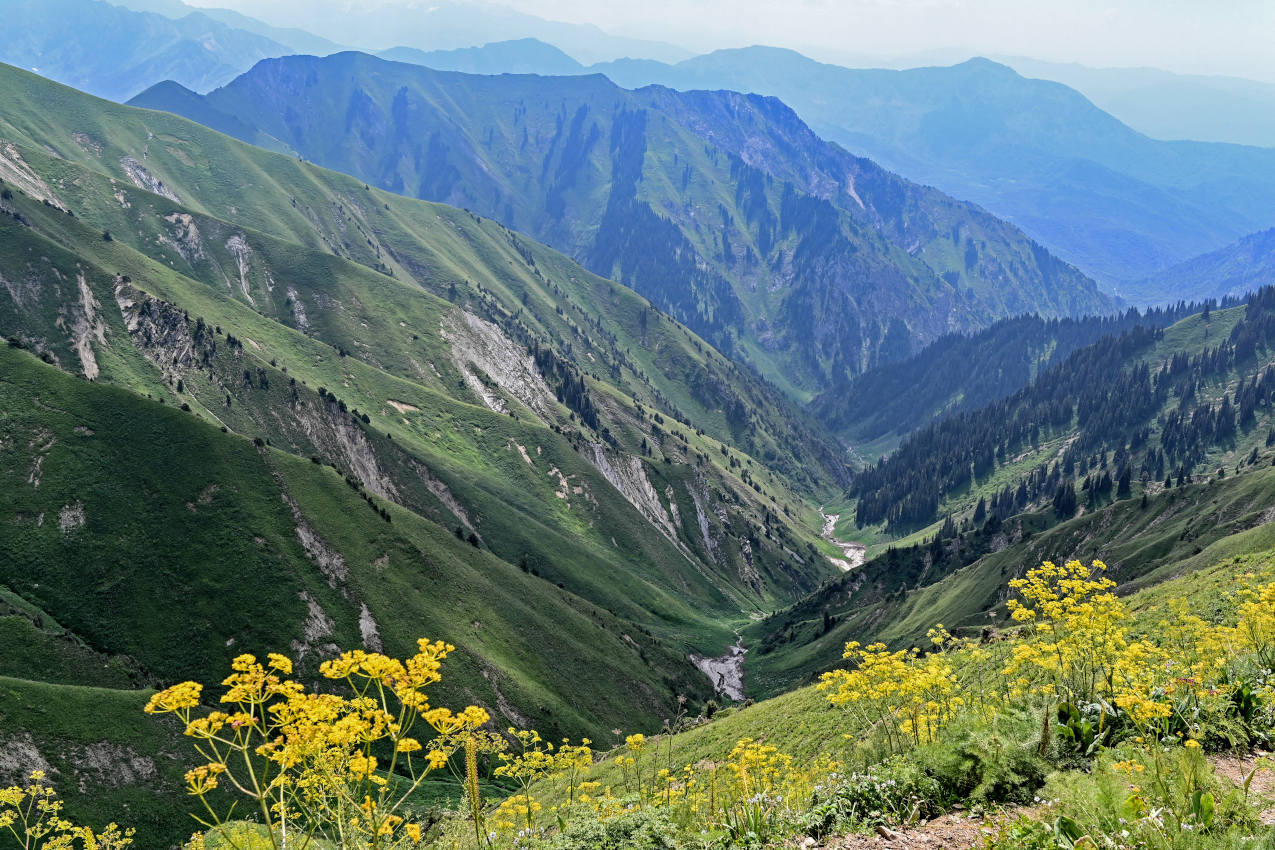 Перевал Кульдамбес, изображение ландшафта.