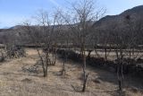 Окрестности села Тмогви, изображение ландшафта.