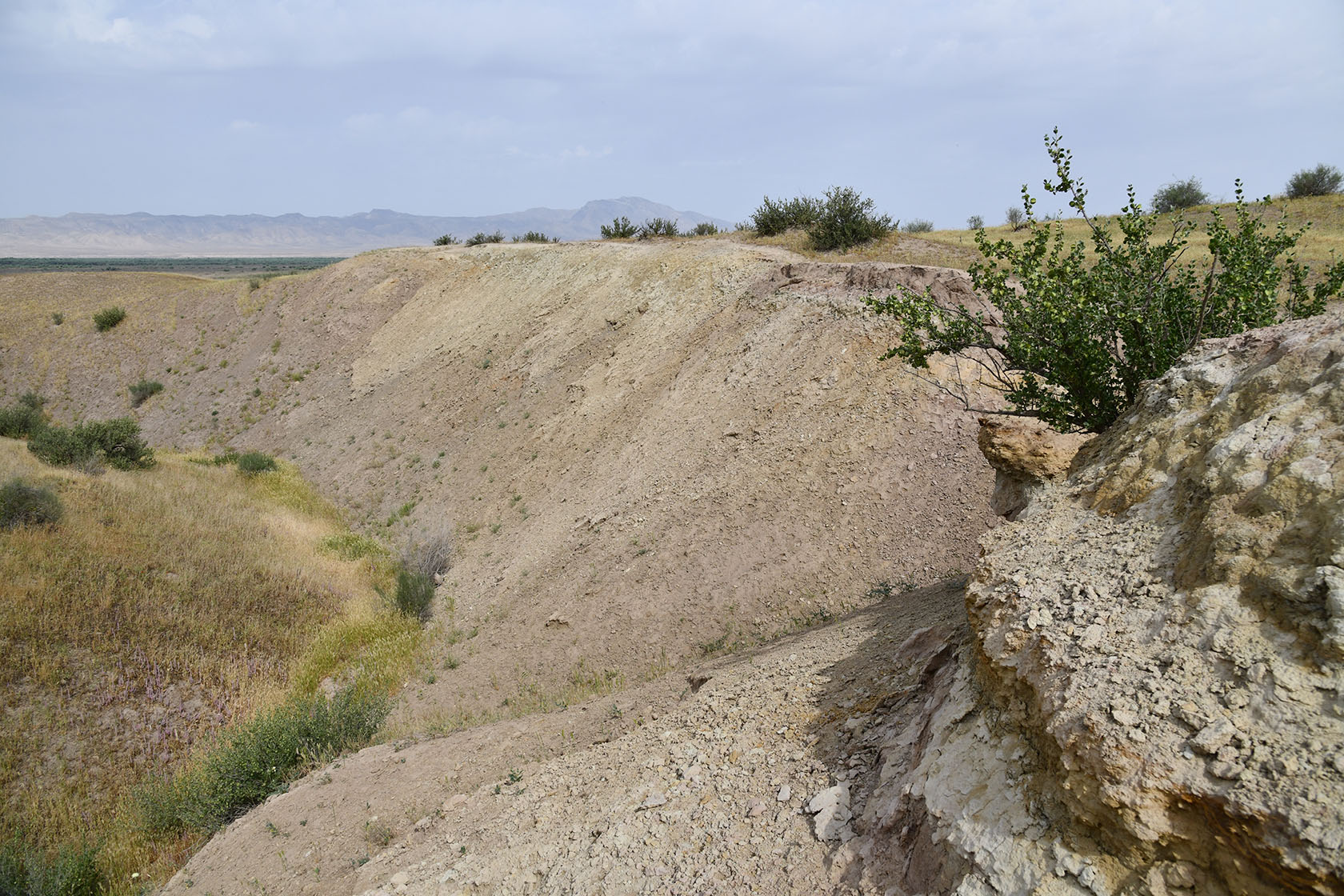 "Королевская дача", image of landscape/habitat.