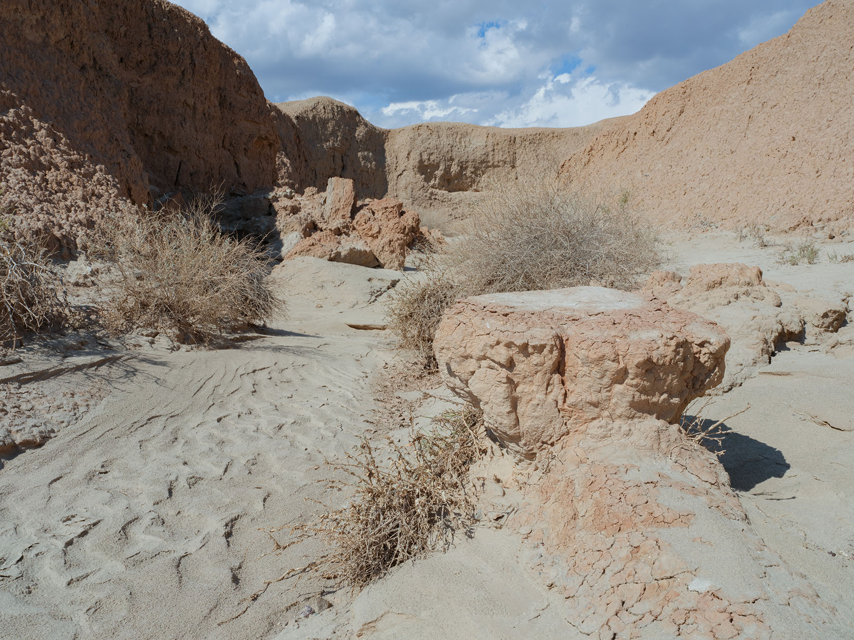 Горы Сырт, image of landscape/habitat.