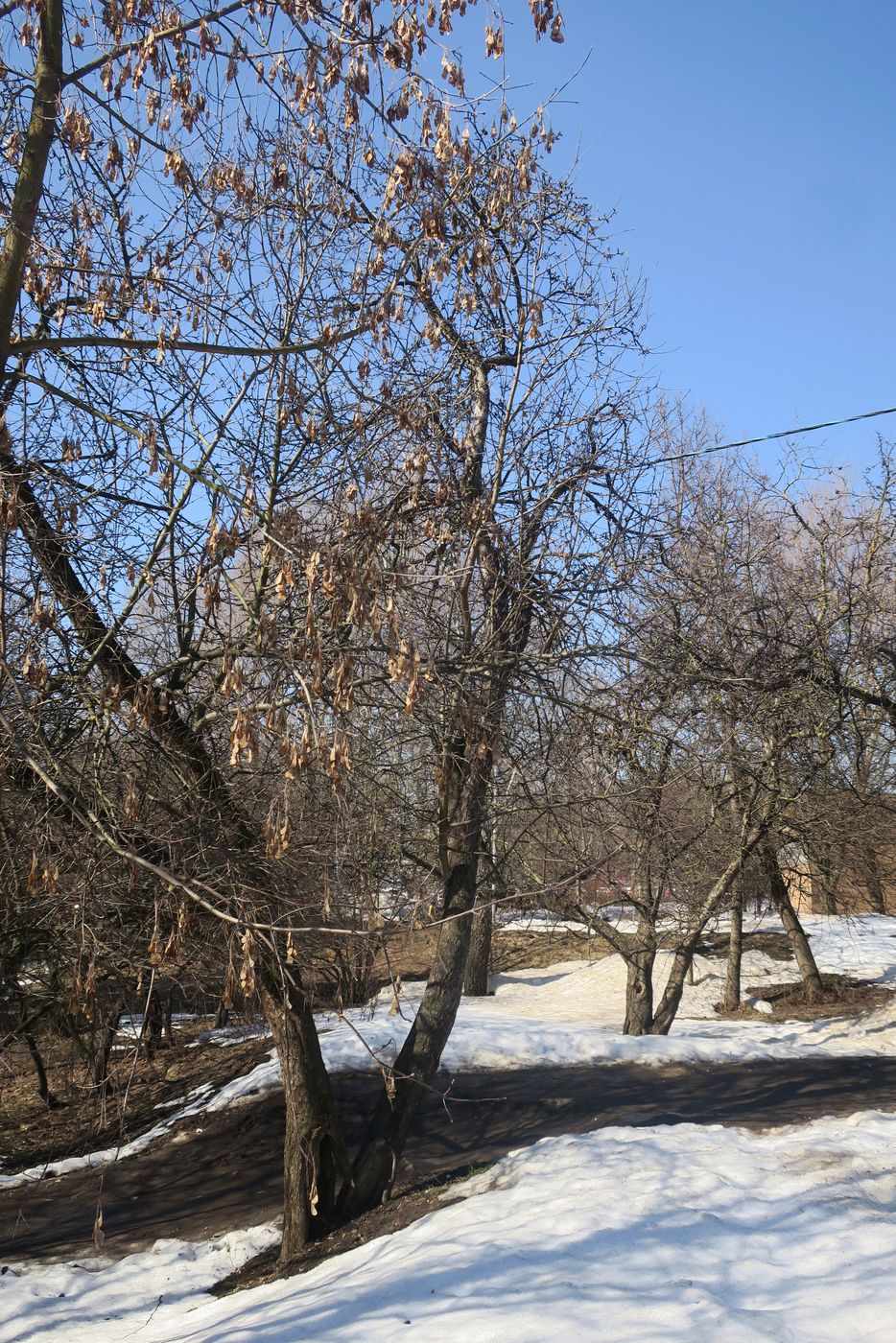 Митино (ландшафтный парк), image of landscape/habitat.