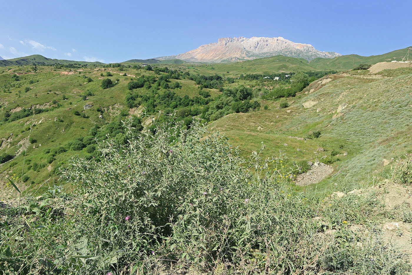 Окрестности села Микрах, image of landscape/habitat.