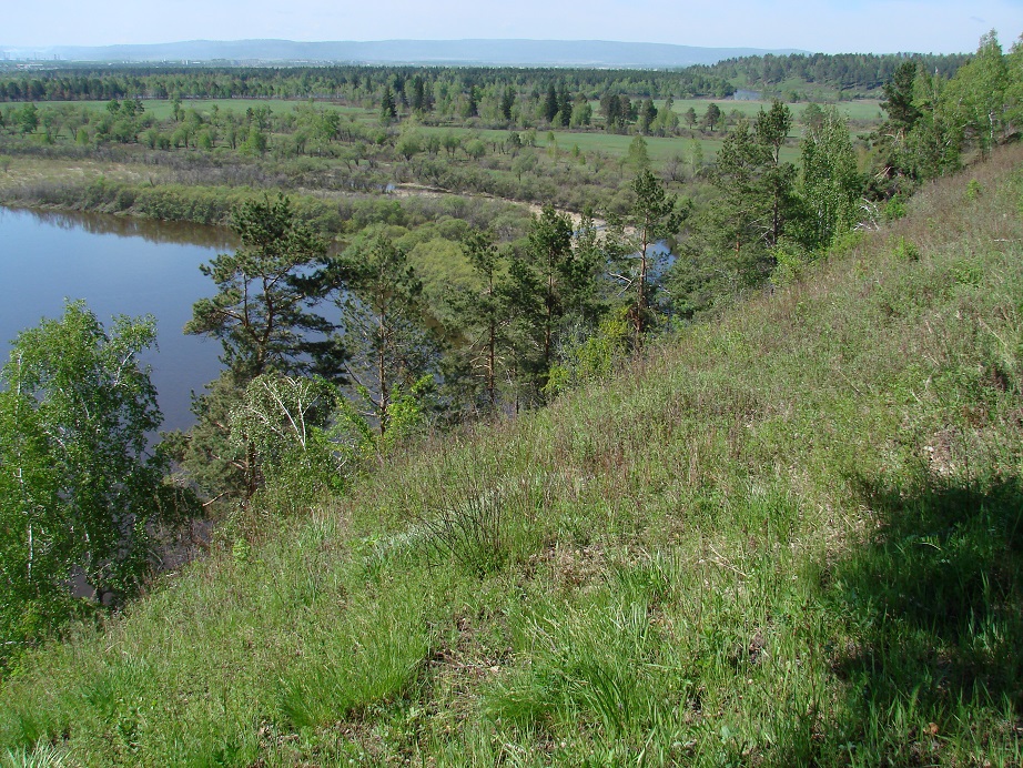 Долина реки Иркут, image of landscape/habitat.