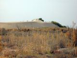 Image of landscape