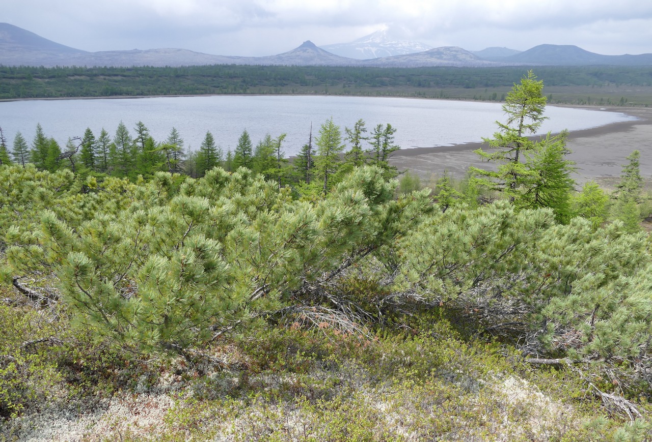 Озеро Илмаган, image of landscape/habitat.