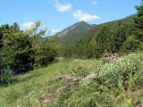 Большое Голоустное, image of landscape/habitat.