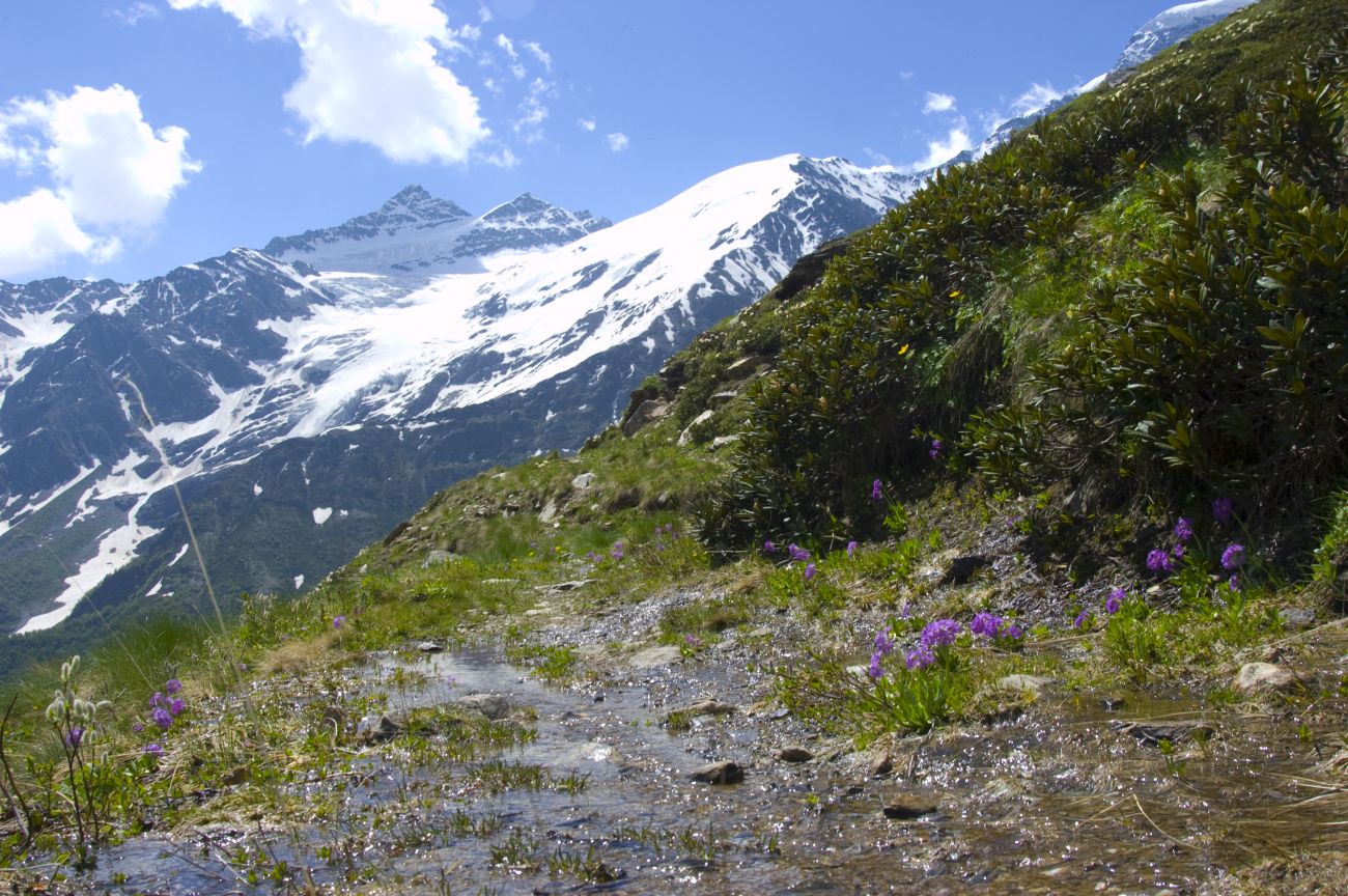 Восточный склон горы Чегет, image of landscape/habitat.