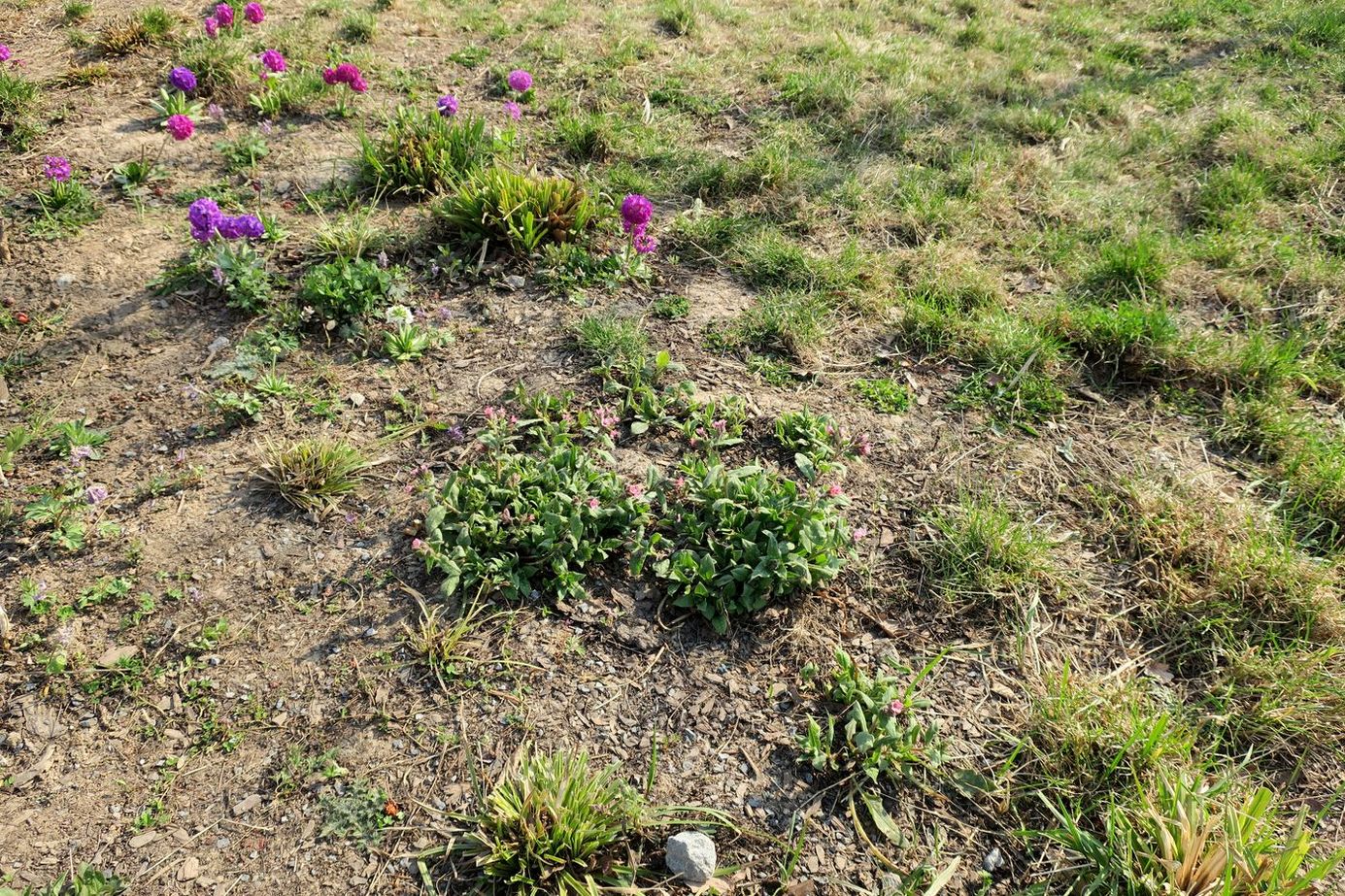Парк Зарядье, image of landscape/habitat.