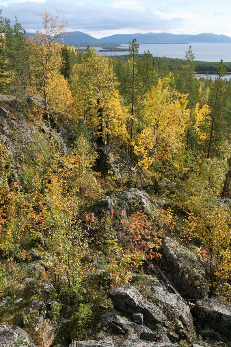 Крестовая гора, image of landscape/habitat.