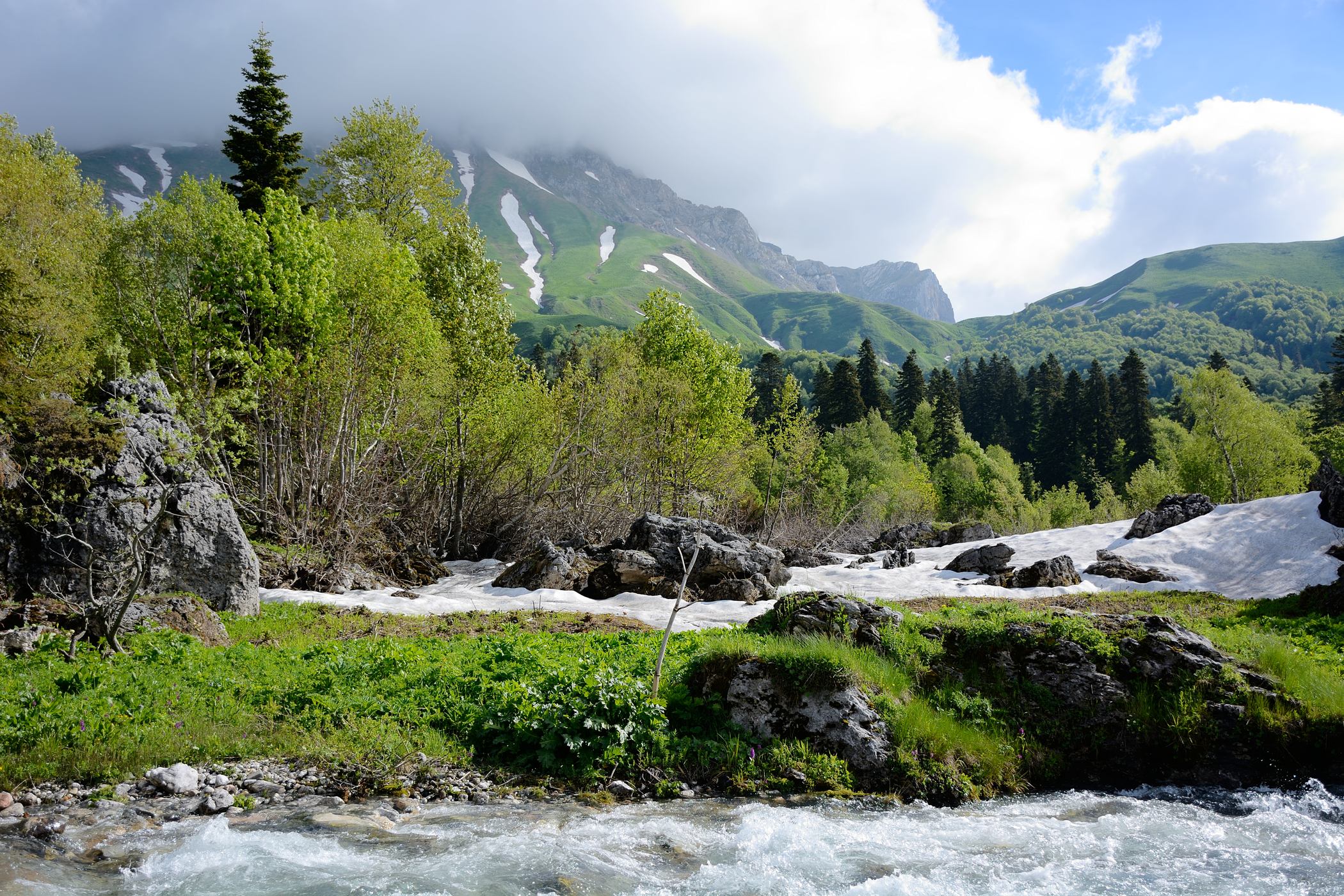 Верховья реки Белая, image of landscape/habitat.