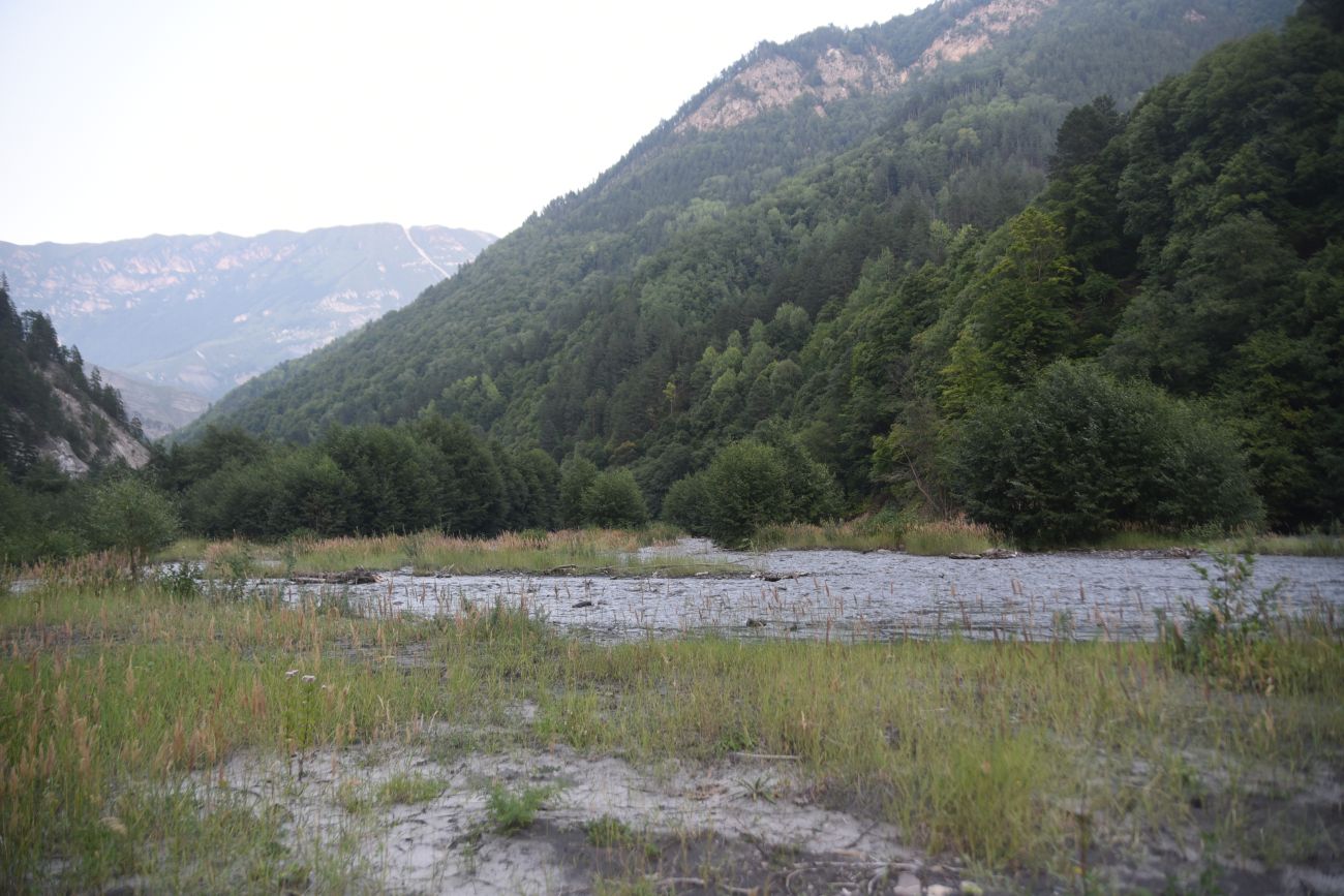 Окрестности устья реки Кенхи, image of landscape/habitat.