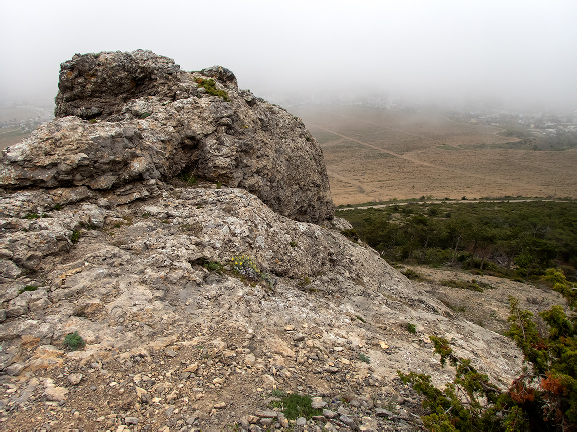 Гора Лысая (Голая), image of landscape/habitat.