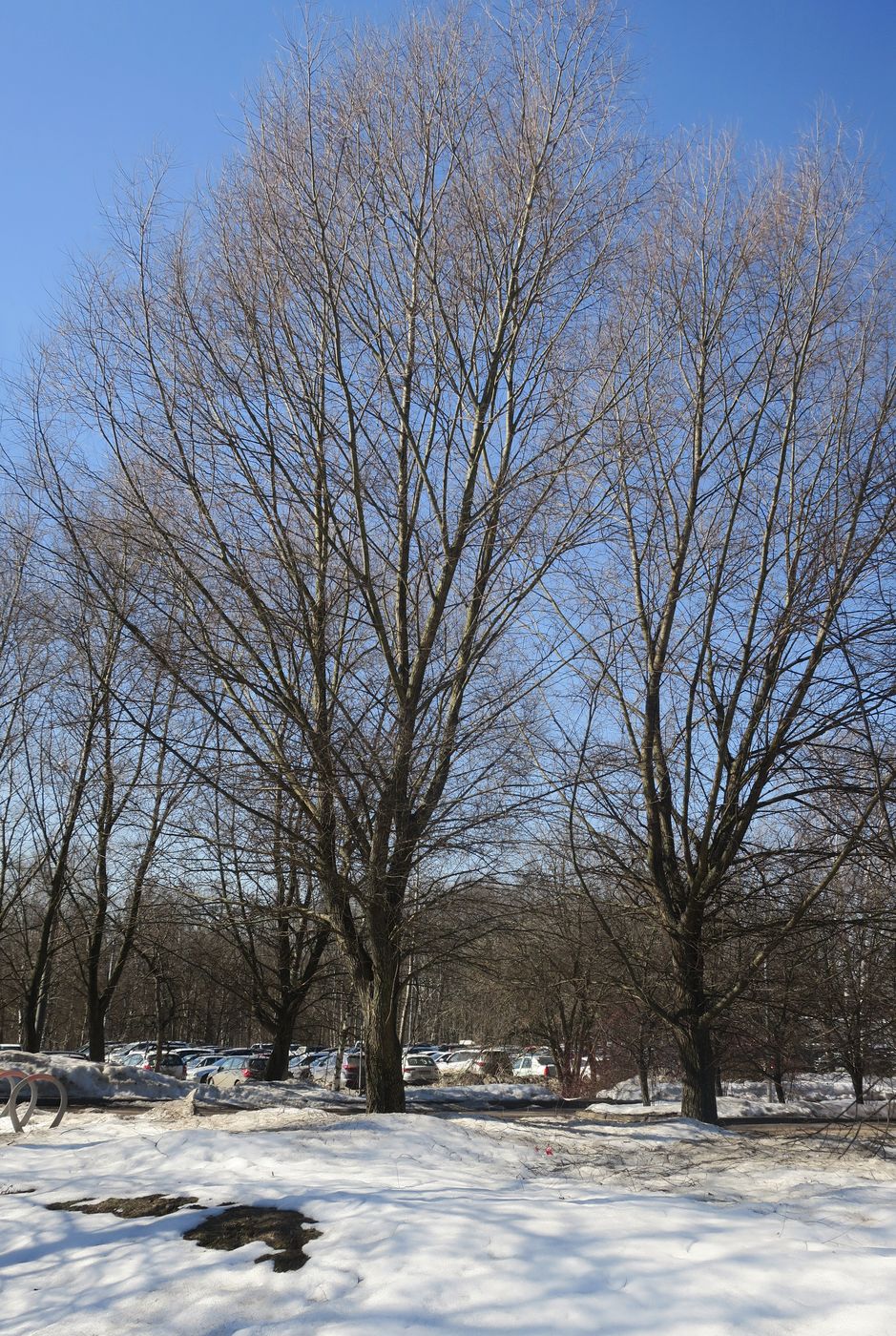 Митино (ландшафтный парк), image of landscape/habitat.