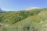 Окрестности села Микрах, image of landscape/habitat.
