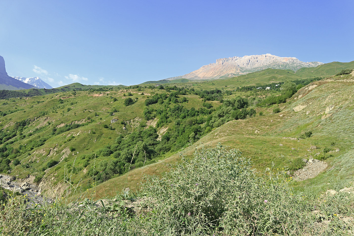 Окрестности села Микрах, image of landscape/habitat.