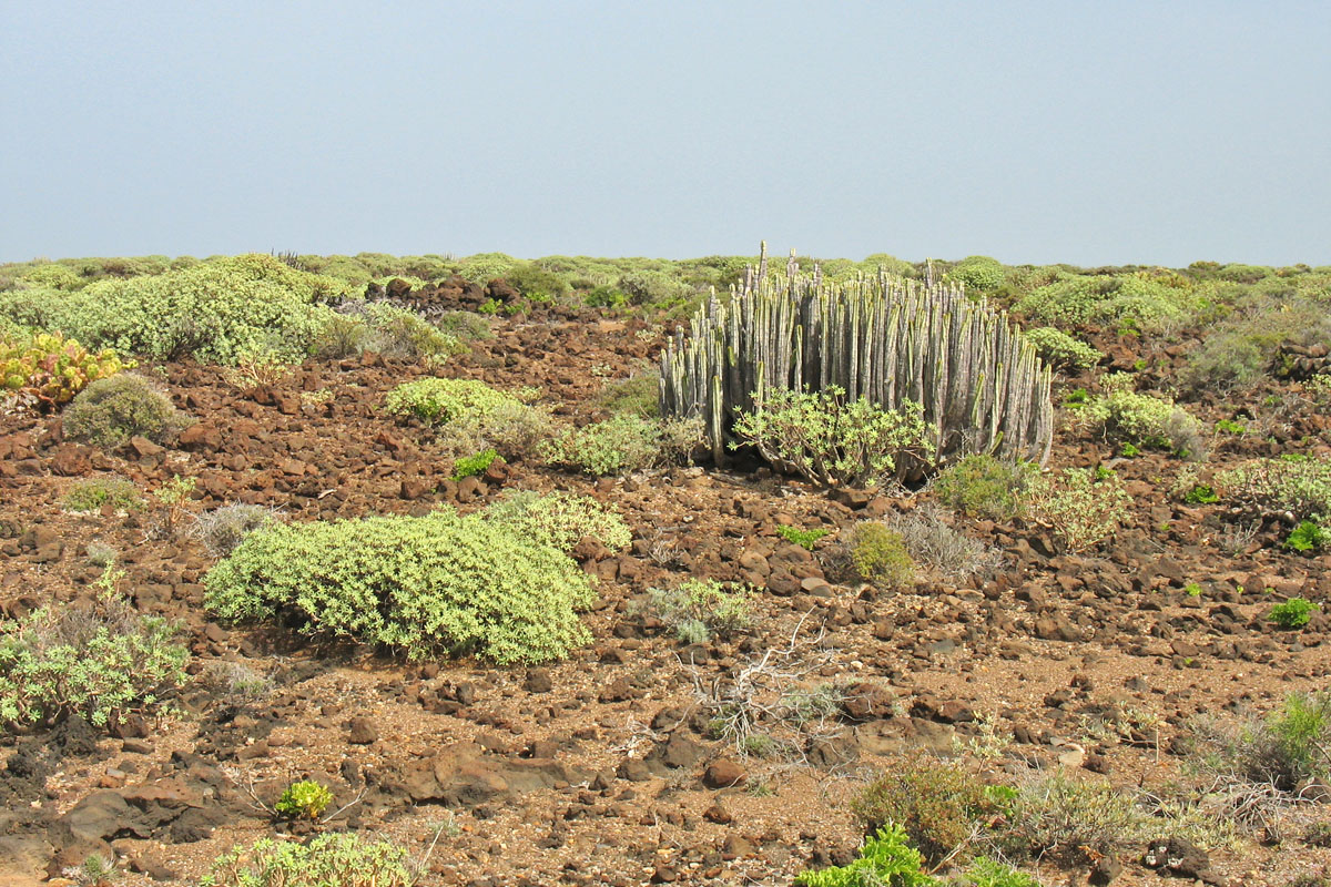 Ландшафтный парк Тено, image of landscape/habitat.