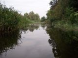 Нижнее течение реки Усожи 2, image of landscape/habitat.