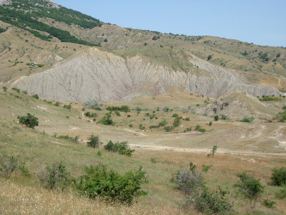 Лисья бухта, изображение ландшафта.