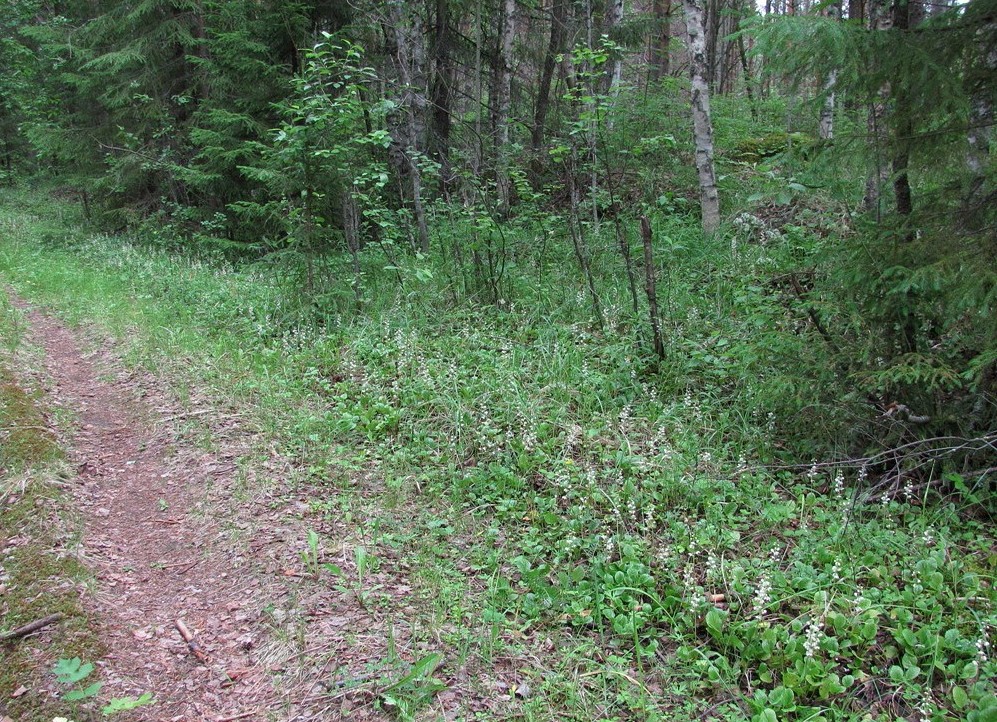 Долина реки Вель, image of landscape/habitat.