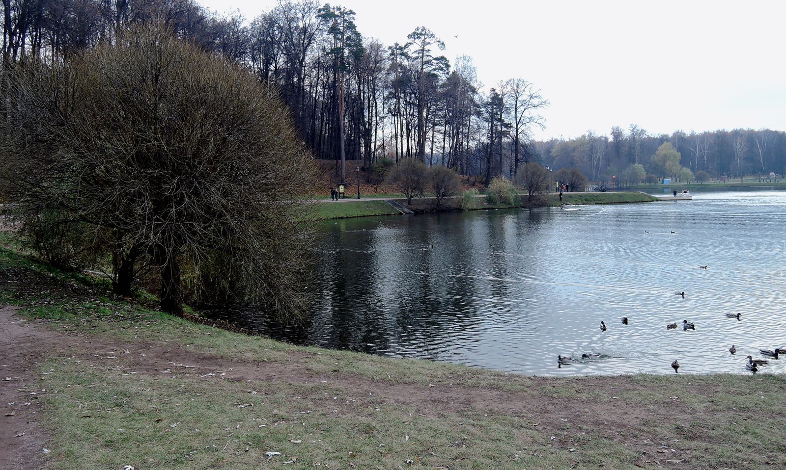 Царицыно, image of landscape/habitat.