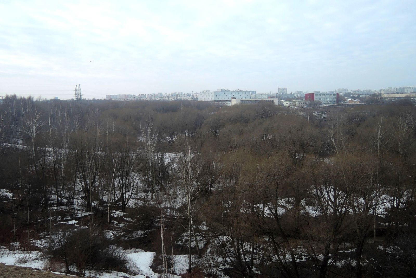 Москва, image of landscape/habitat.