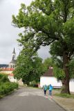 Vyšší Brod a Opatská stezka, image of landscape/habitat.