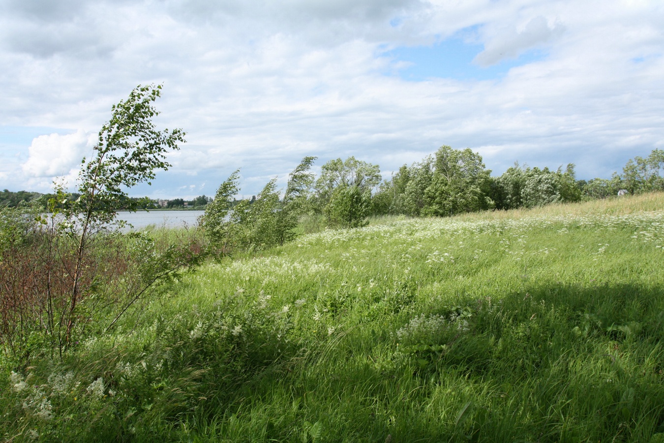 Дудергофское озеро, image of landscape/habitat.