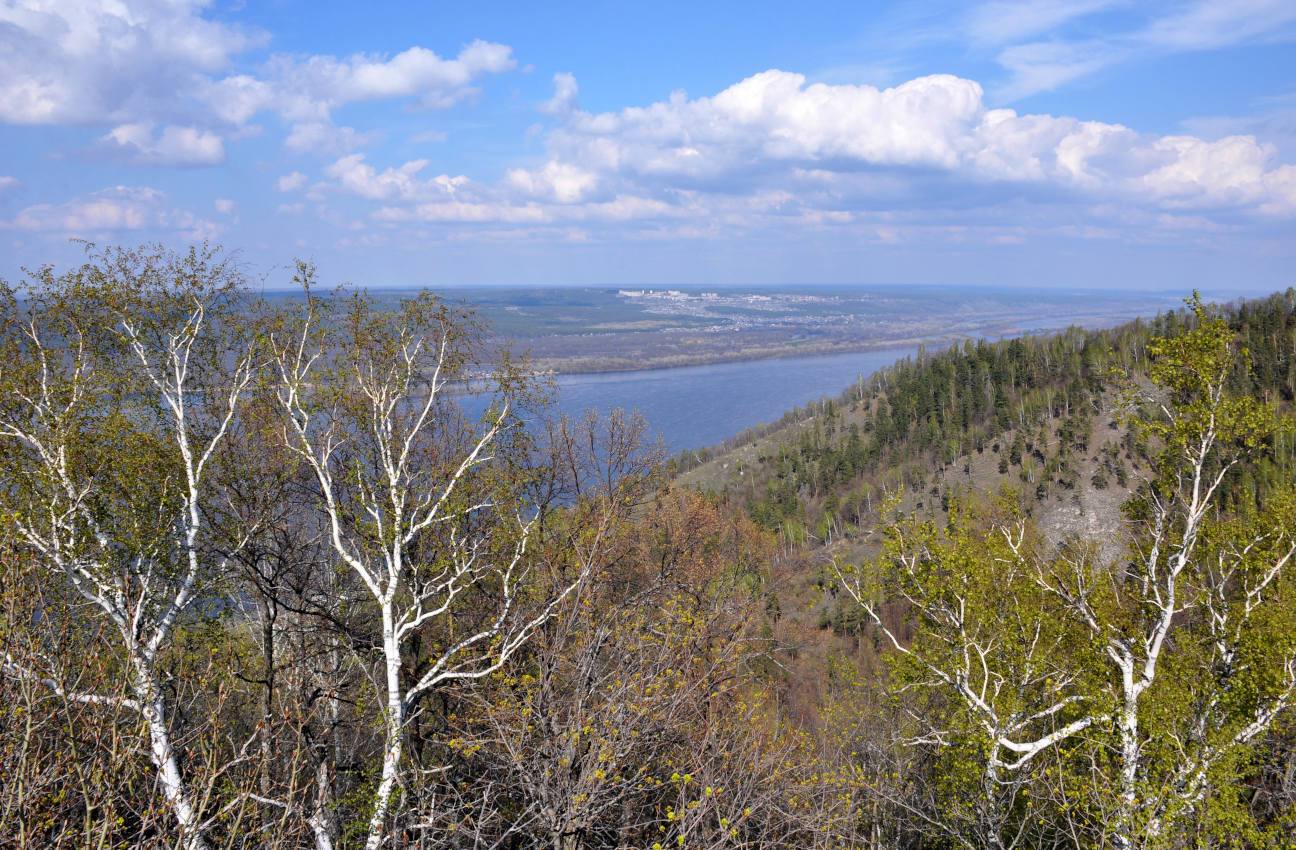 Гора Стрельная, image of landscape/habitat.