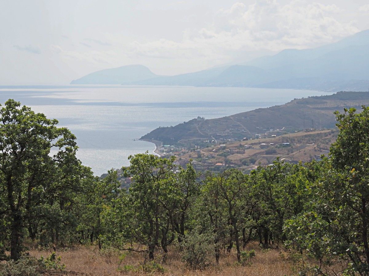 Малореченское и окрестности, image of landscape/habitat.