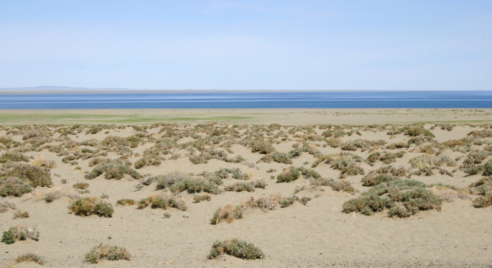 Дургунь-Нур, image of landscape/habitat.