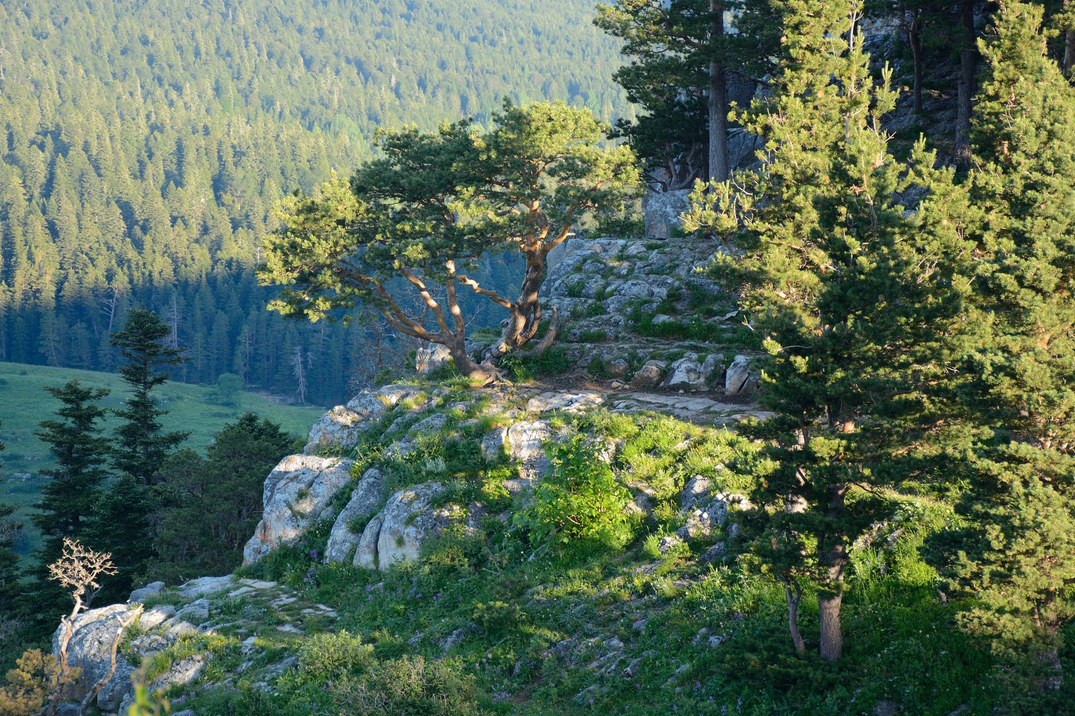 Азишский перевал, image of landscape/habitat.