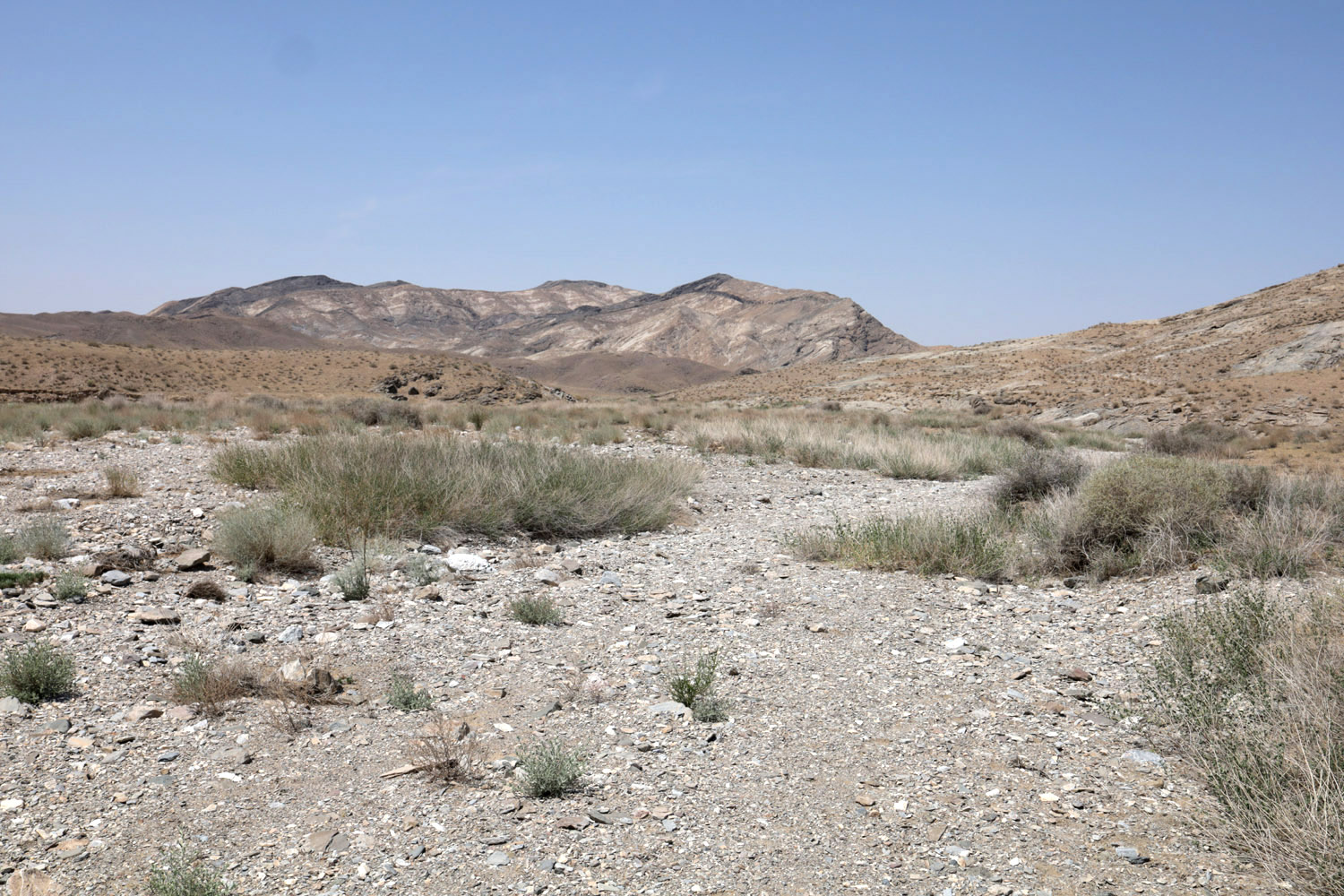 Тамдытау, image of landscape/habitat.