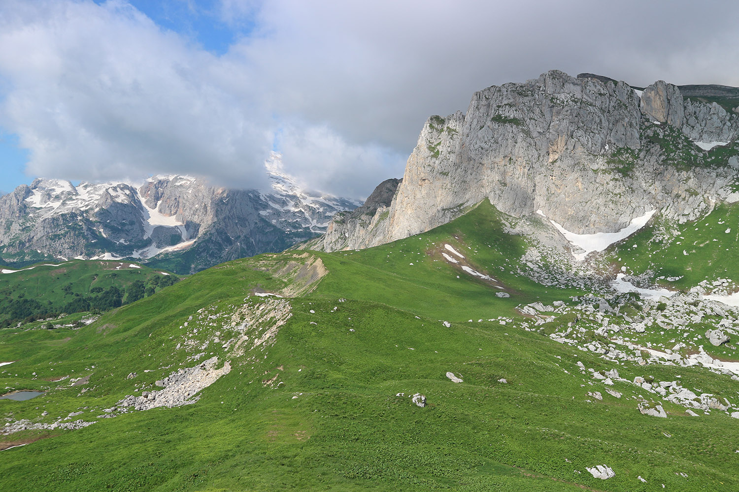 Южный склон горы Гузерипль, image of landscape/habitat.