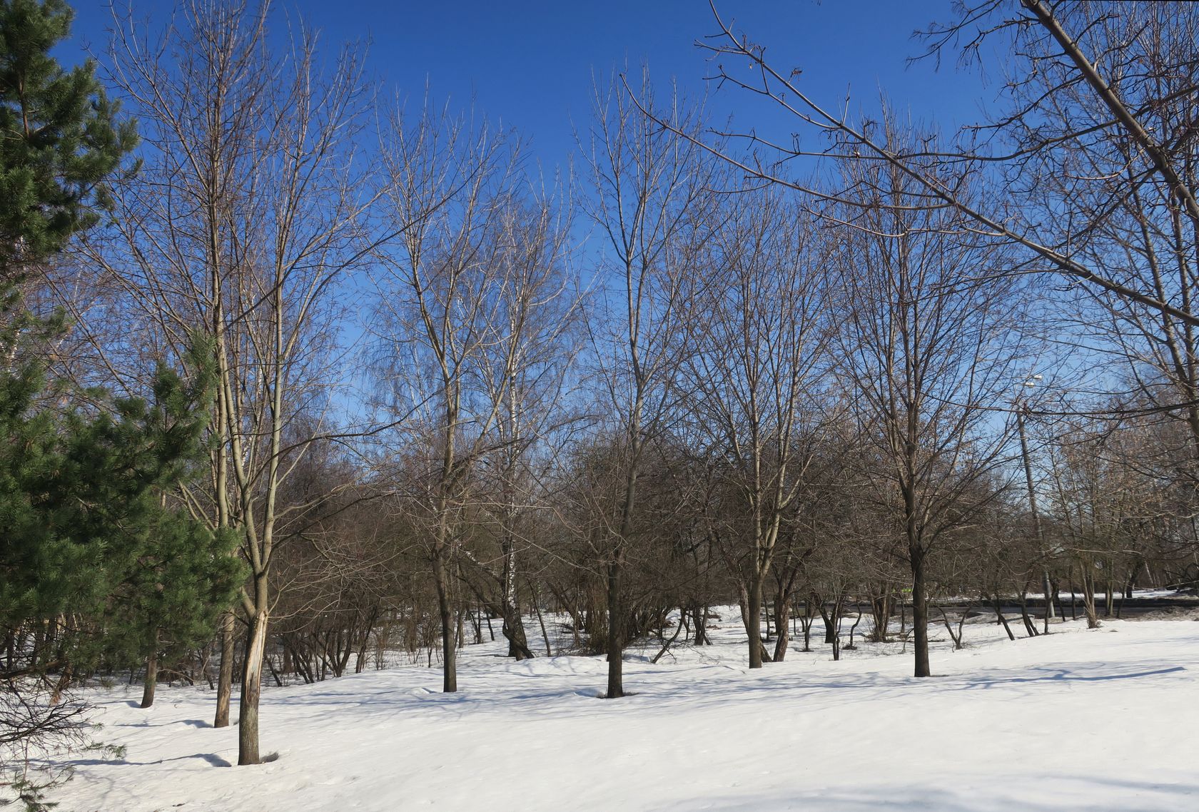 Митино (ландшафтный парк), image of landscape/habitat.