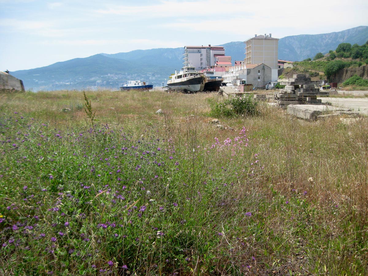 Грузпорт Ялты, image of landscape/habitat.