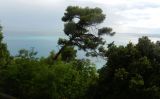 Image of landscape